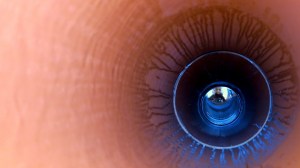 Blick in Kontrollschacht